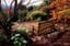 Mount Tomah Botanic Gardens Image -5b4187c78d87b
